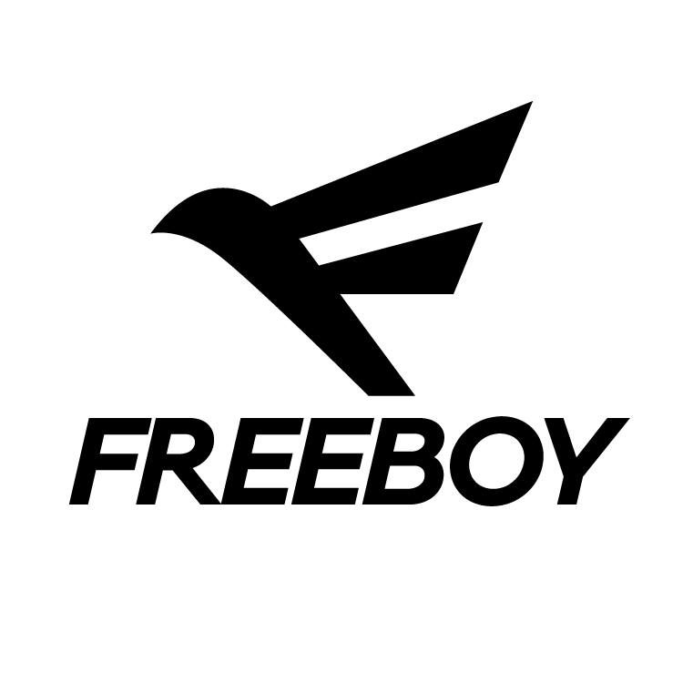 Freeboy Store Coupons and Promo Code