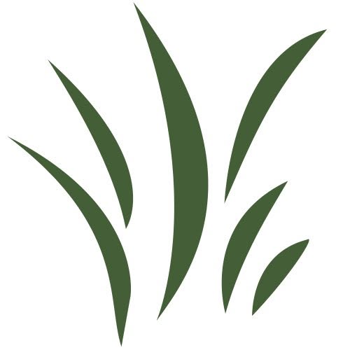 RawNori Coupons and Promo Code